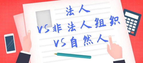 張槎食品證代辦服務(wù)詳解